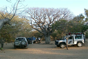 Khama Rhino Sanctuary Activities